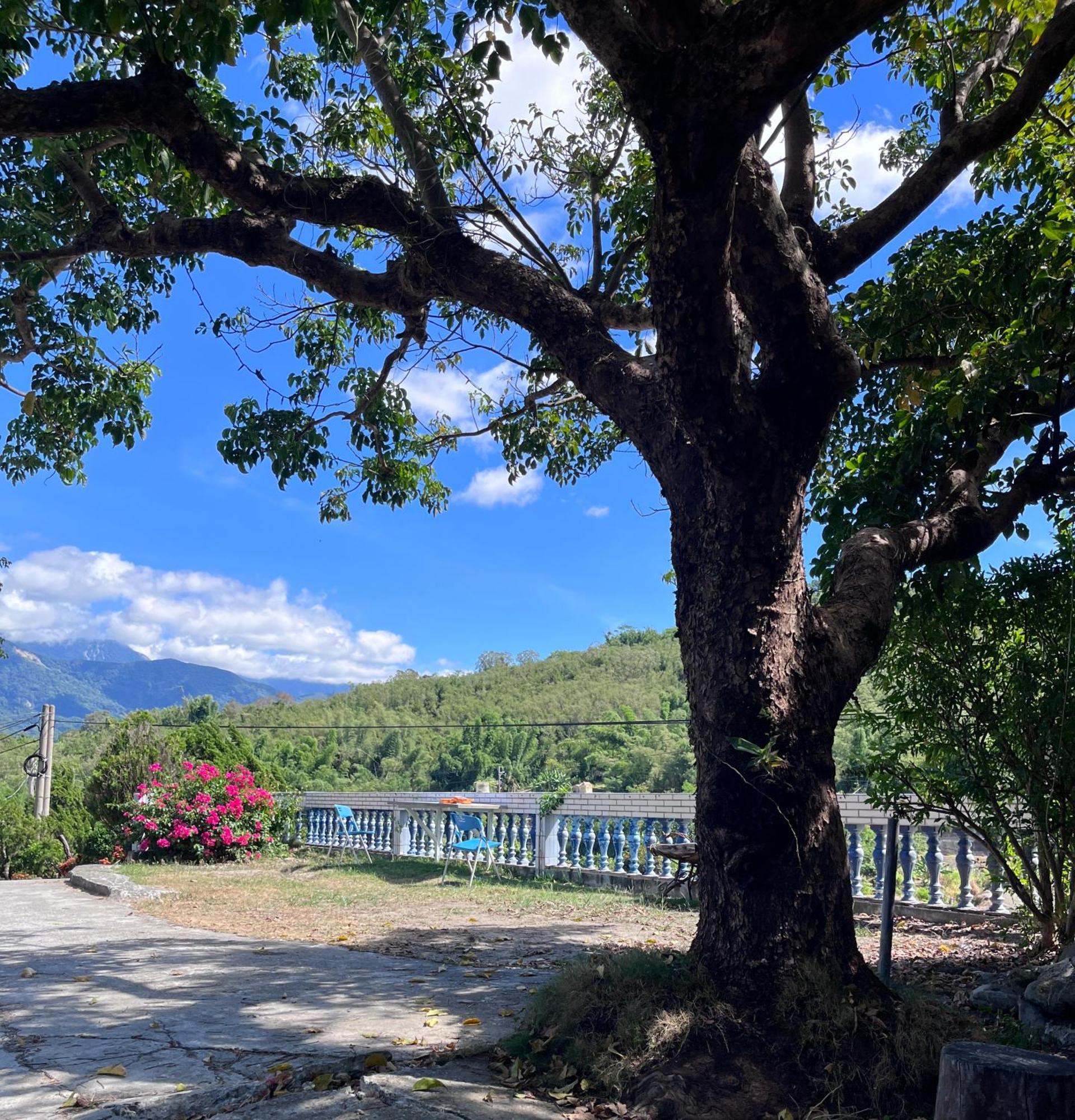 十畝田山莊會館 Hotel Chishang Exterior foto