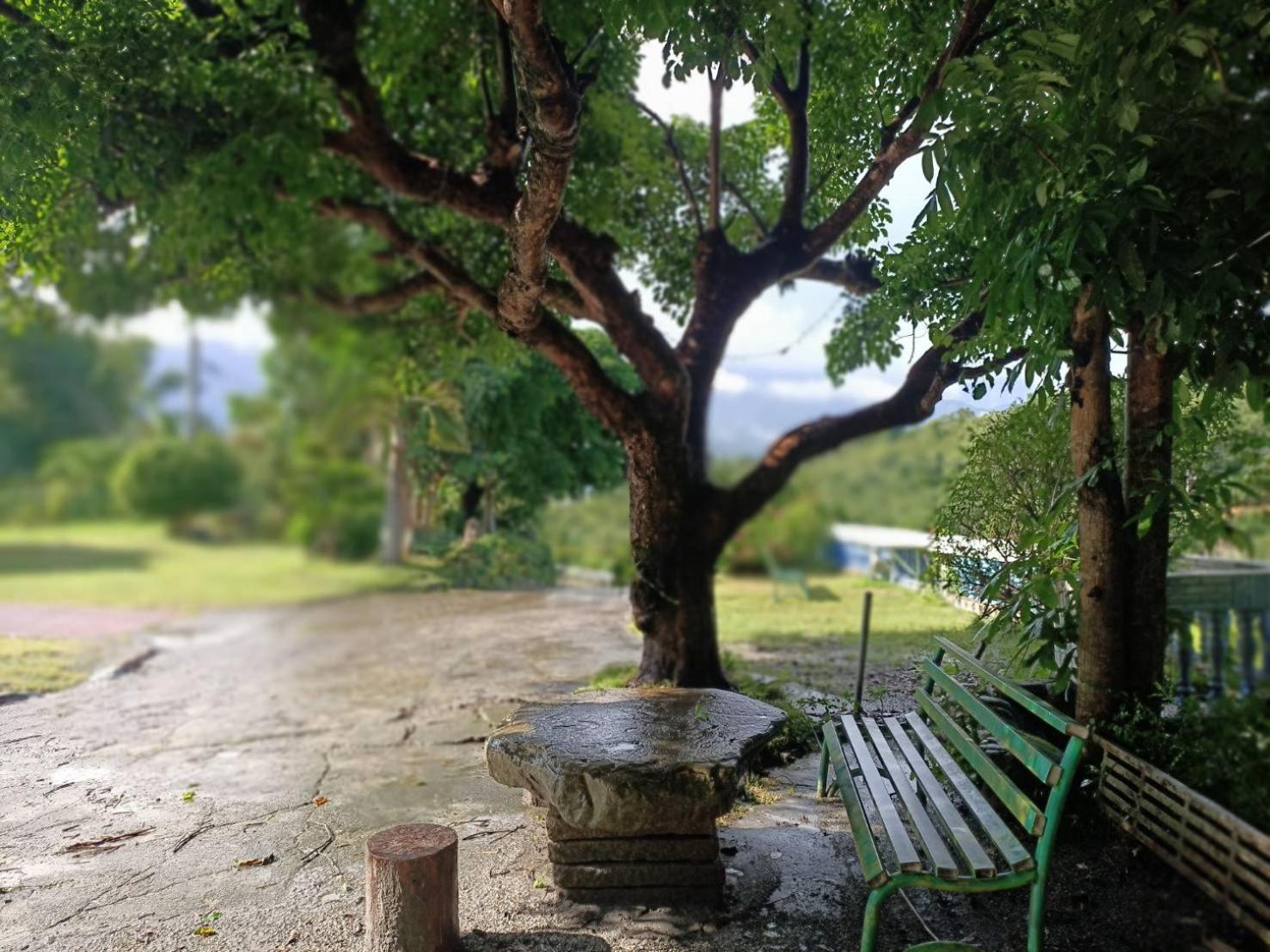十畝田山莊會館 Hotel Chishang Exterior foto